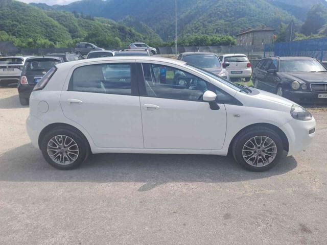 FIAT Punto usata, con Fendinebbia