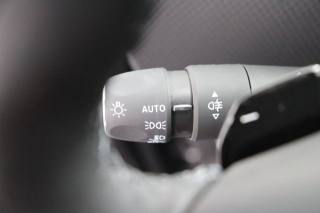 DS AUTOMOBILES DS 4 usata, con ESP
