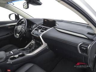 LEXUS NX 300h usata 11