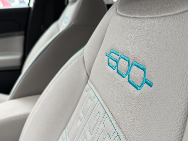 FIAT 600 usata, con Bracciolo