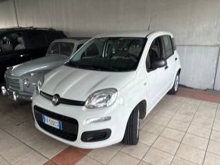 FIAT Panda benzina