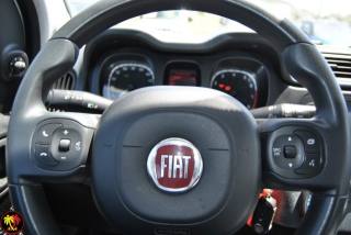 FIAT Panda usata, con Climatizzatore