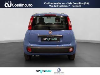 FIAT Panda usata, con Airbag Passeggero