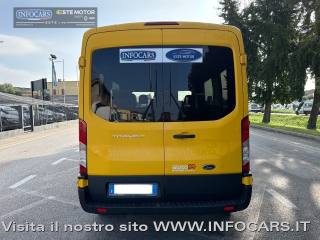 FORD Transit usata, con Bracciolo