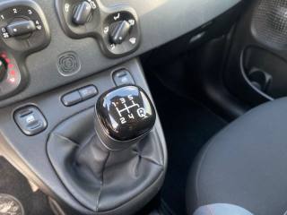 FIAT Panda usata, con Controllo trazione
