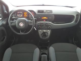 FIAT Panda usata, con Climatizzatore