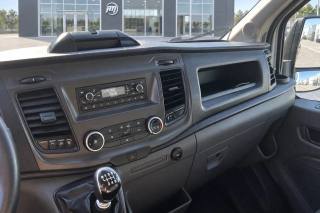 FORD Transit usata 12
