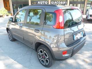 FIAT Panda usata, con Airbag Passeggero
