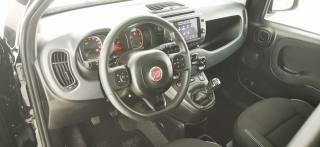 FIAT Panda Cross usata 60