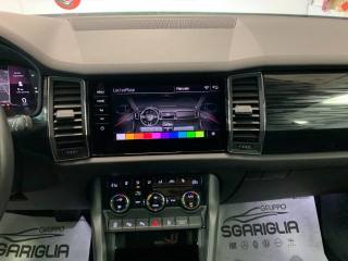 SKODA Kodiaq usata, con Park Distance Control
