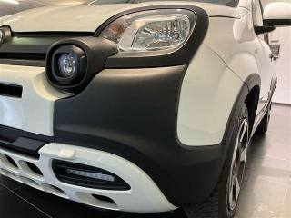 FIAT Panda usata, con Fendinebbia