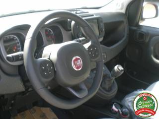 FIAT Panda Cross usata, con Autoradio digitale