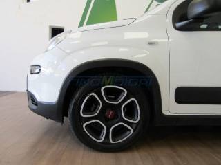 FIAT Panda usata, con Alzacristalli elettrici