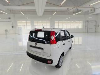 FIAT Panda usata, con Autoradio