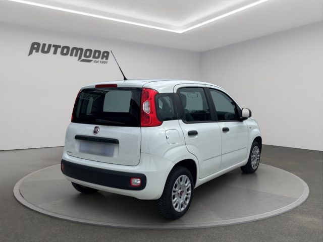FIAT Panda usata 3