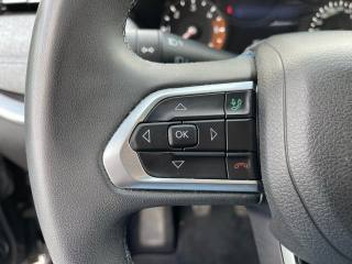 JEEP Compass usata, con Cronologia tagliandi