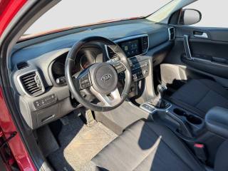 KIA Sportage usata 8