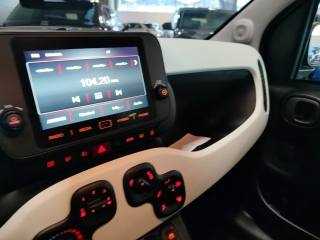 FIAT Panda usata 31