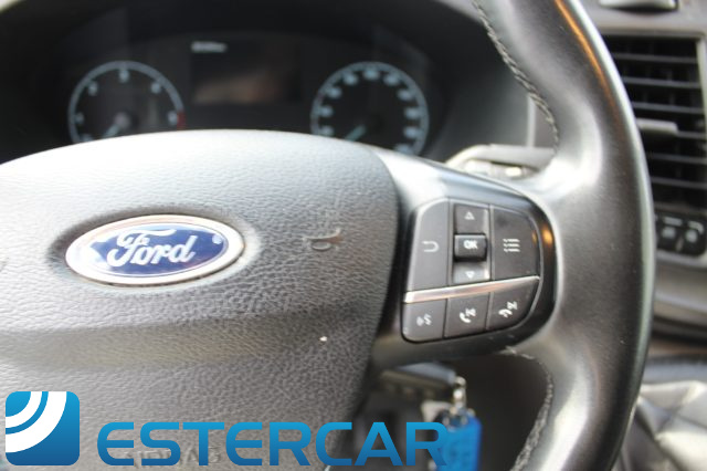 FORD Transit usata 13