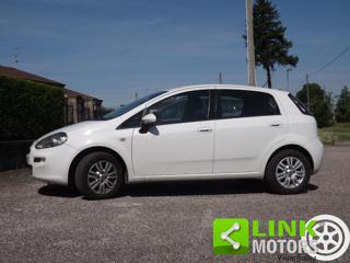 FIAT Punto usata 29