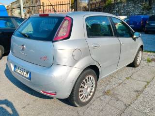 FIAT Punto usata, con Airbag