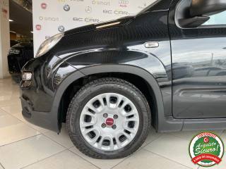 FIAT Panda usata, con Volante multifunzione