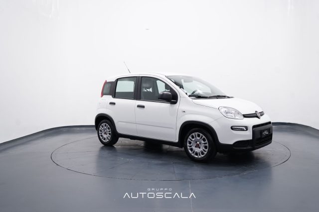 FIAT New Panda usata, con Climatizzatore