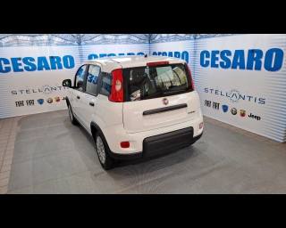 FIAT New Panda usata, con Airbag Passeggero