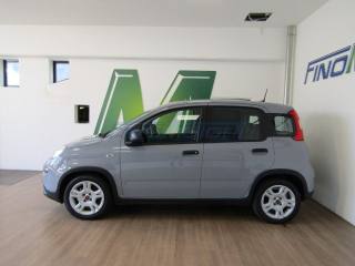 FIAT Panda usata, con Antifurto