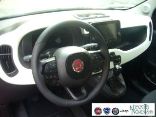 FIAT Panda usata, con Vetri oscurati