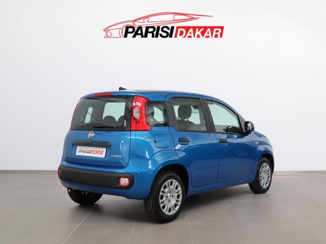 FIAT Panda usata, con Airbag Passeggero