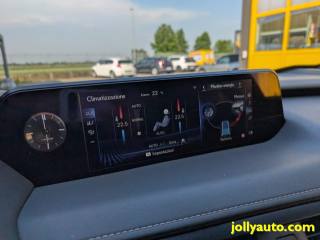 LEXUS UX 250h usata, con Volante in pelle