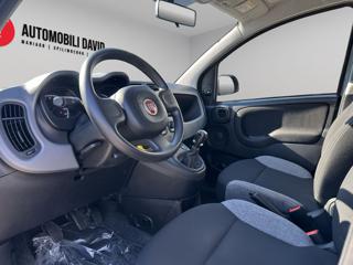 FIAT Panda usata, con Antifurto
