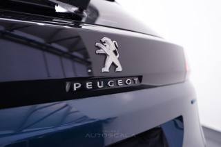 PEUGEOT 3008 usata, con Airbag testa