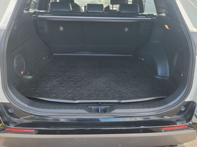 TOYOTA RAV 4 usata, con Cerchi in lega