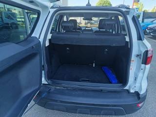 FORD EcoSport usata, con Fendinebbia