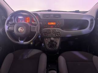 FIAT Panda usata 3