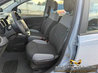 FIAT Panda usata, con Controllo automatico clima