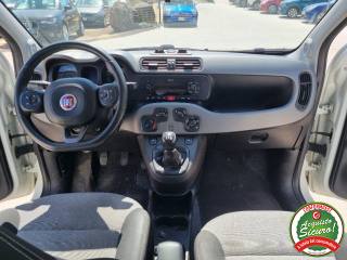 FIAT Panda usata, con Immobilizzatore elettronico