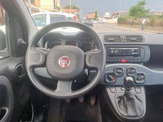 FIAT Panda usata, con Airbag Passeggero