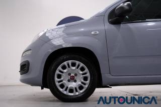 FIAT Panda usata, con Fendinebbia