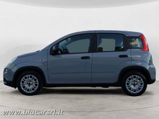 FIAT Panda usata, con Airbag
