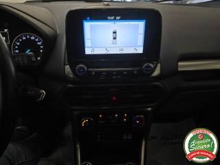 FORD EcoSport usata, con Fendinebbia