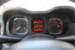 FIAT Panda usata 11