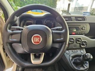 FIAT Panda usata, con Airbag testa