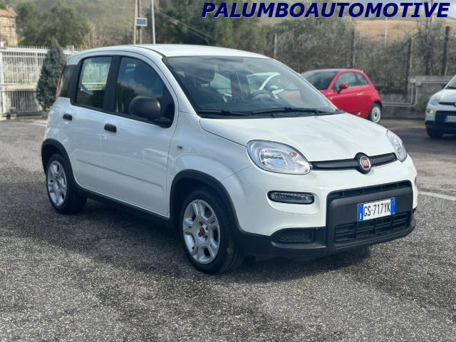 FIAT Panda usata, con Airbag Passeggero