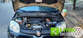 FIAT Panda usata 32