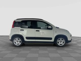FIAT Panda usata 5