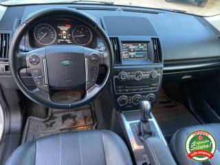 LAND ROVER Freelander usata, con ESP