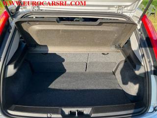 FIAT Punto usata 18
